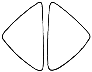 tab7 8