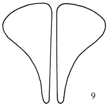 tab7 9nn