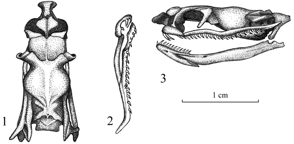 tab8 1-3n