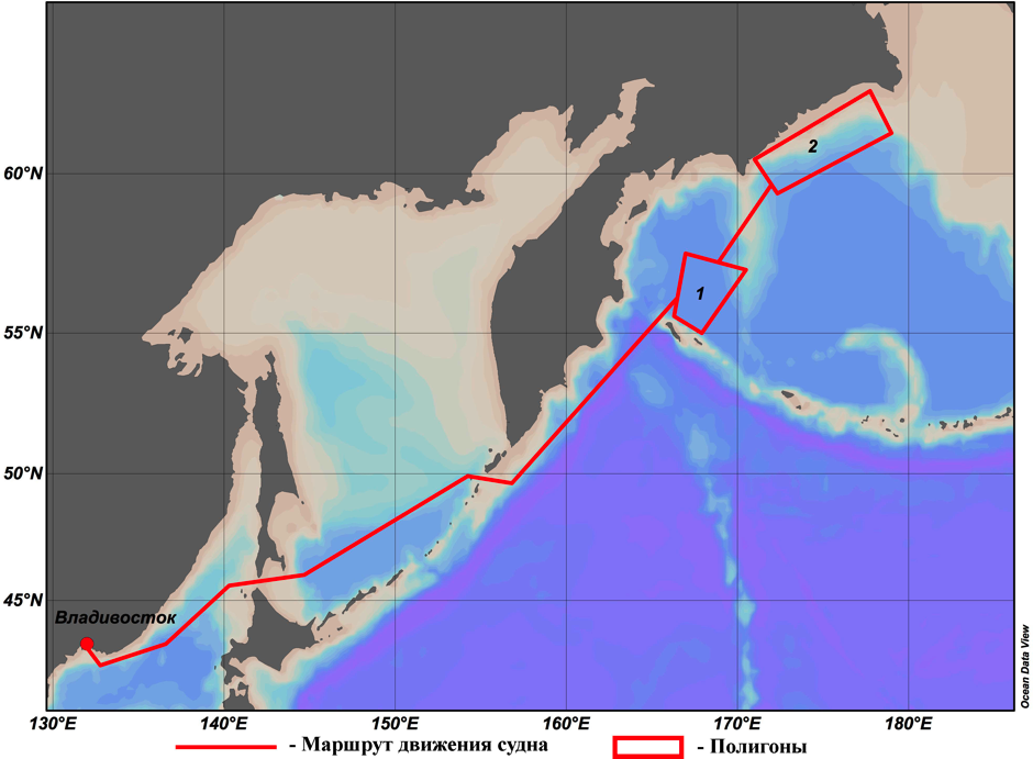 expedition piipa 2018