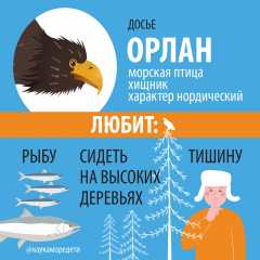 eagles_03.png