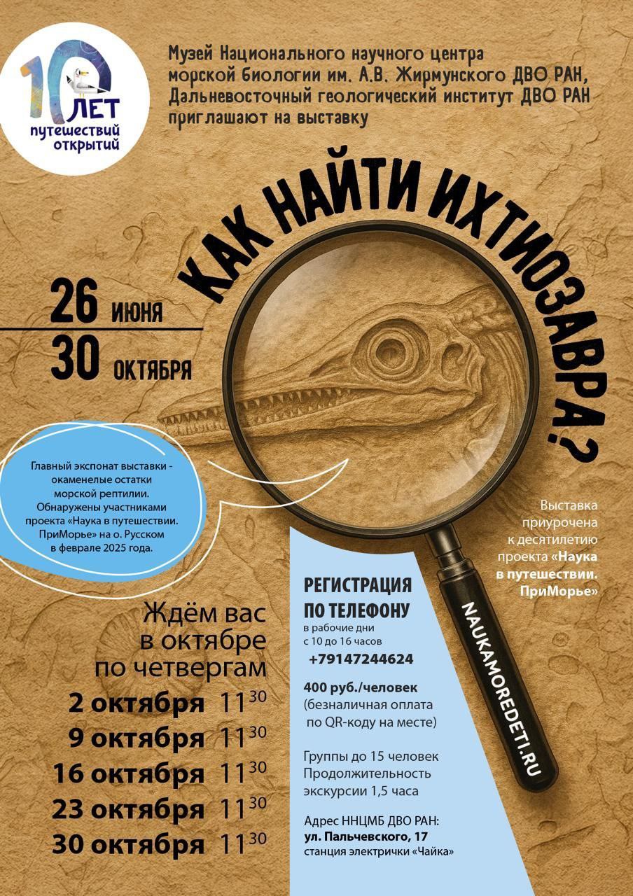 how to find ichthyosaurus