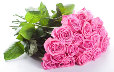 roses2